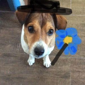 Meet your Posher, Bill